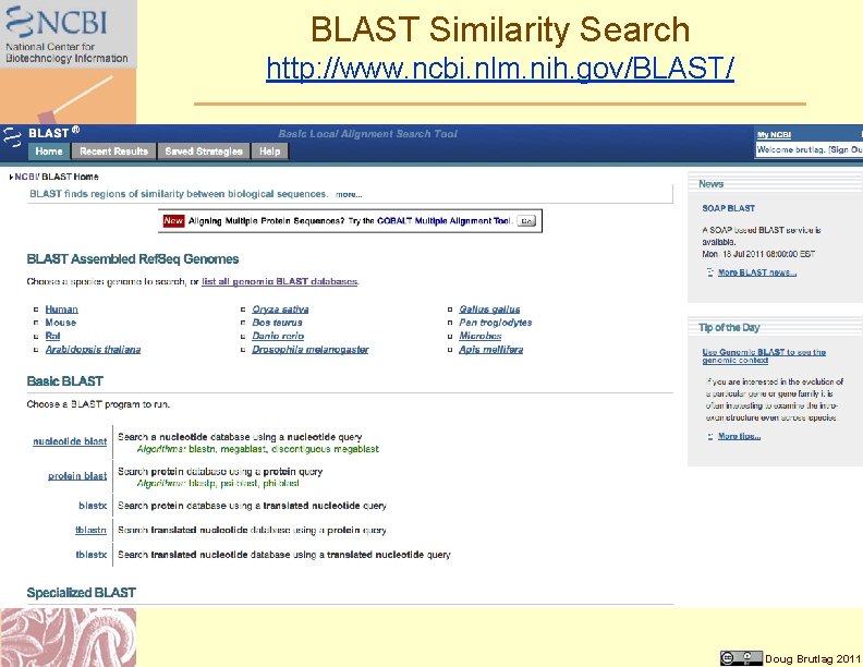 BLAST Similarity Search http: //www. ncbi. nlm. nih. gov/BLAST/ Doug Brutlag 2011 