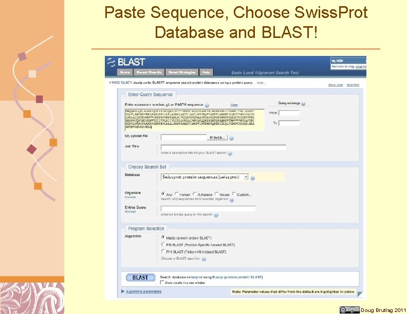 Paste Sequence, Choose Swiss. Prot Database and BLAST! Doug Brutlag 2011 