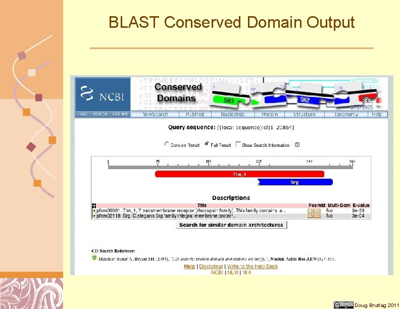 BLAST Conserved Domain Output Doug Brutlag 2011 