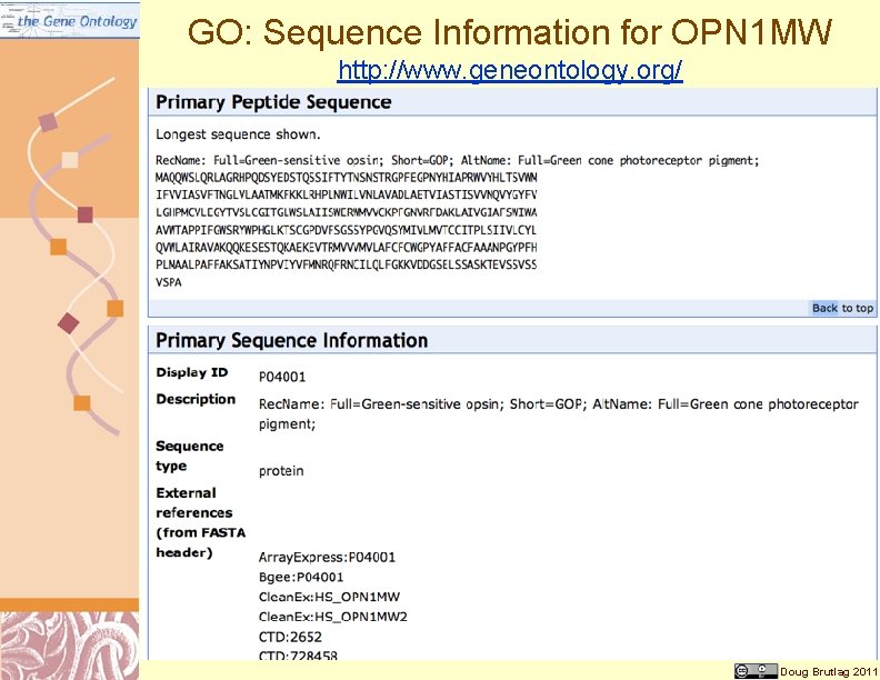 GO: Sequence Information for OPN 1 MW http: //www. geneontology. org/ Doug Brutlag 2011