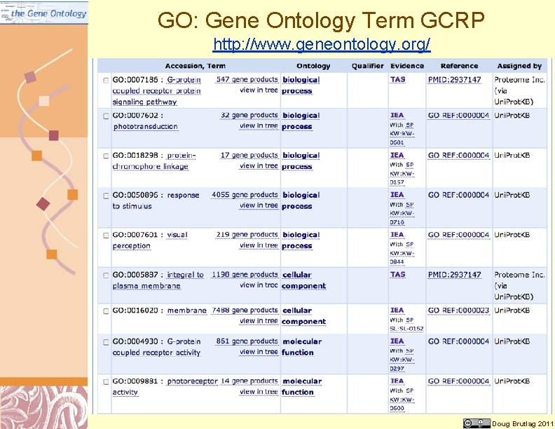 GO: Gene Ontology Term GCRP http: //www. geneontology. org/ Doug Brutlag 2011 