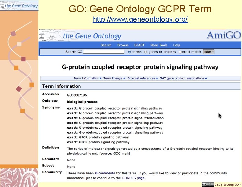 GO: Gene Ontology GCPR Term http: //www. geneontology. org/ Doug Brutlag 2011 