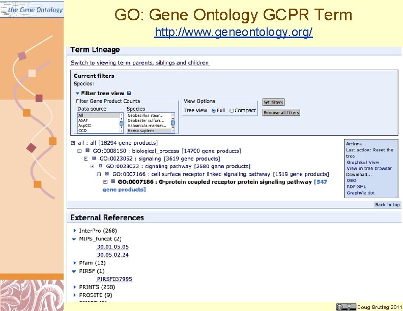GO: Gene Ontology GCPR Term http: //www. geneontology. org/ Doug Brutlag 2011 