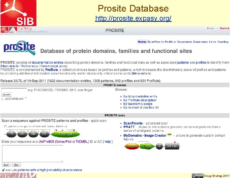 Prosite Database http: //prosite. expasy. org/ Doug Brutlag 2011 