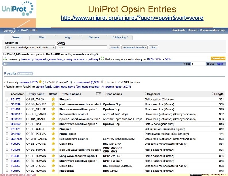 Uni. Prot Opsin Entries http: //www. uniprot. org/uniprot/? query=opsin&sort=score Doug Brutlag 2011 