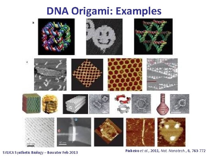 DNA Origami: Examples SYLICA Synthetic Biology – Bowater Feb 2013 Pinheiro et al. ,