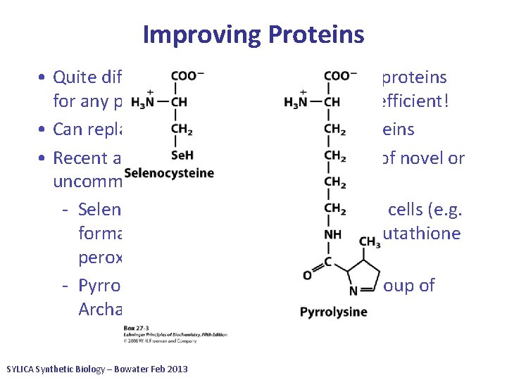 Improving Proteins • Quite difficult to improve on activities of proteins for any particular