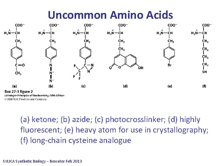 Uncommon Amino Acids • Expansion of genetic code to uncommon amino acids requires several