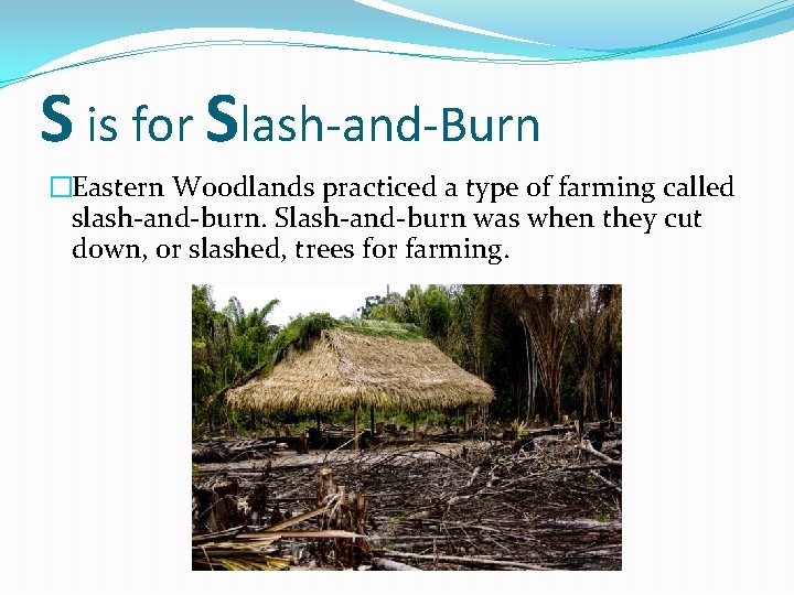 S is for Slash-and-Burn �Eastern Woodlands practiced a type of farming called slash-and-burn. Slash-and-burn