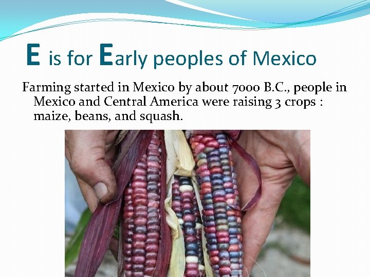 E is for Early peoples of Mexico Farming started in Mexico by about 7000