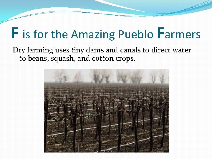 F is for the Amazing Pueblo Farmers Dry farming uses tiny dams and canals