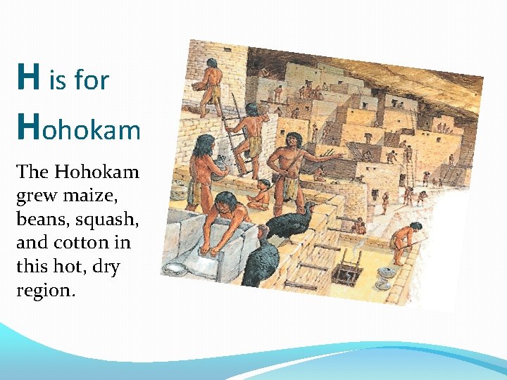 H is for Hohokam The Hohokam grew maize, beans, squash, and cotton in this