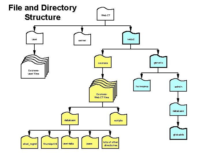 File and Directory Structure user Web. CT webct server generic courses Coursesuser files homearea