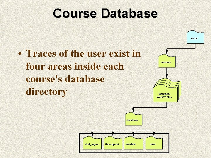 Course Database • Traces of the user exist in four areas inside each course's