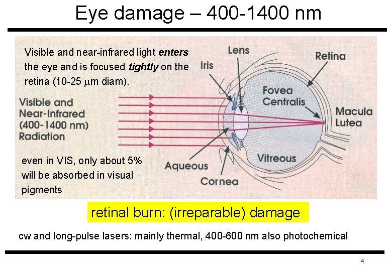 Eye damage – 400 -1400 nm Visible and near-infrared light enters the eye and