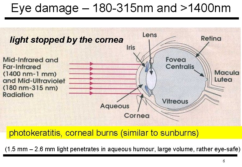 Eye damage – 180 -315 nm and >1400 nm light stopped by the cornea