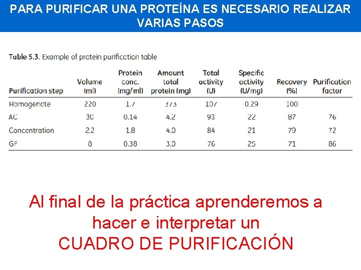 PARA PURIFICAR UNA PROTEÍNA ES NECESARIO REALIZAR VARIAS PASOS Al final de la práctica