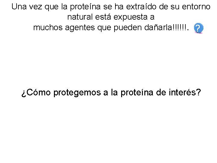 Una vez que la proteína se ha extraído de su entorno natural está expuesta
