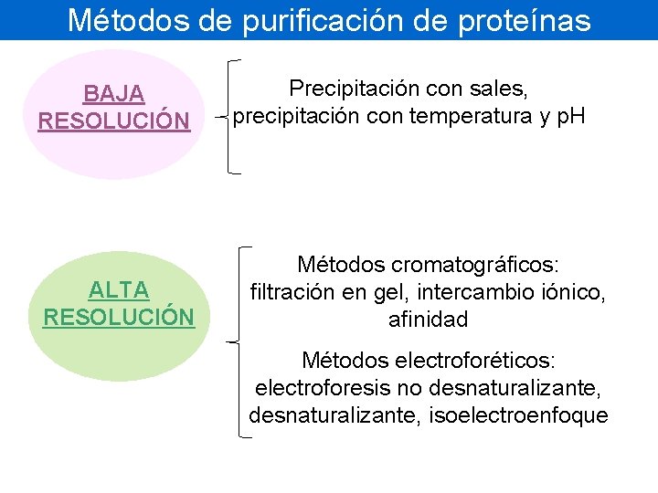 Métodos de purificación de proteínas BAJA RESOLUCIÓN ALTA RESOLUCIÓN Precipitación con sales, precipitación con