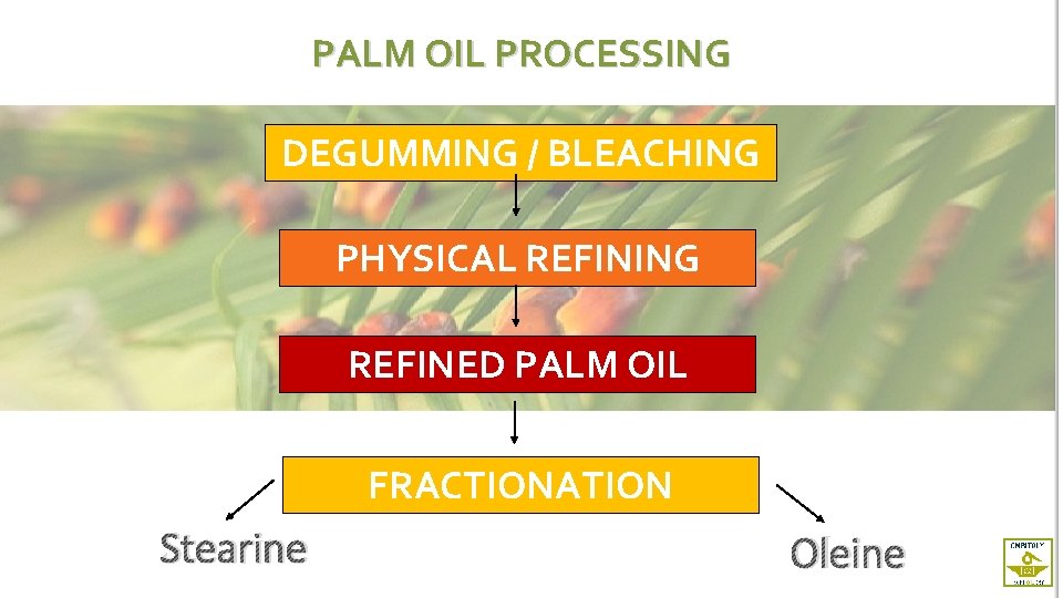 PALM OIL PROCESSING DEGUMMING / BLEACHING PHYSICAL REFINING REFINED PALM OIL FRACTIONATION Stearine Oleine
