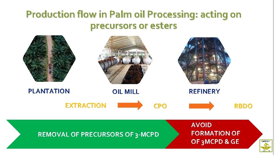 Production flow in Palm oil Processing: acting on precursors or esters PLANTATION EXTRACTION REFINERY
