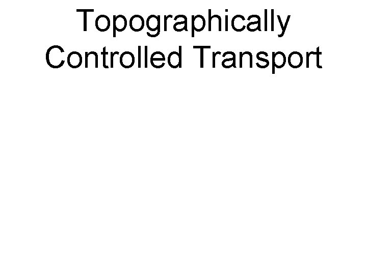 Topographically Controlled Transport 