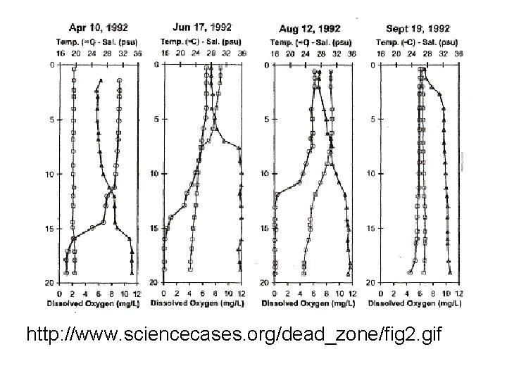 http: //www. sciencecases. org/dead_zone/fig 2. gif 