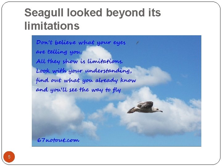 Seagull looked beyond its limitations 5 