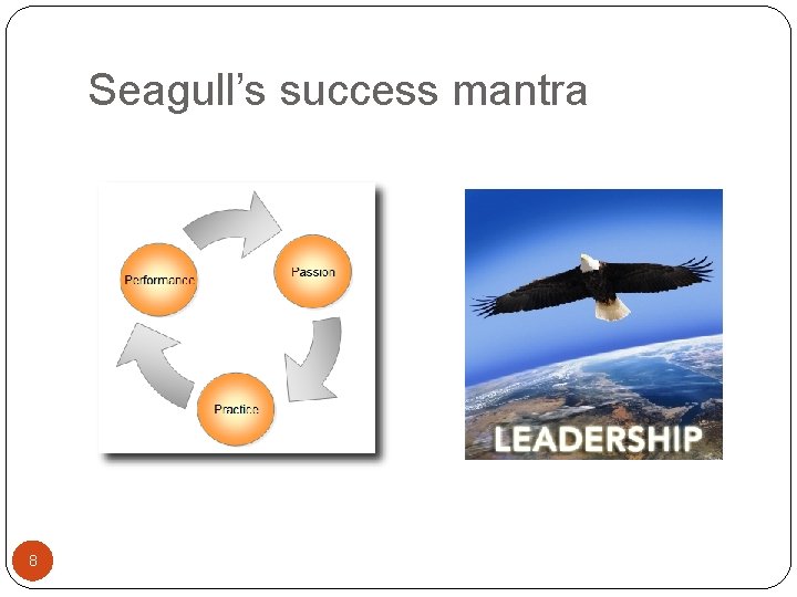 Seagull’s success mantra 8 