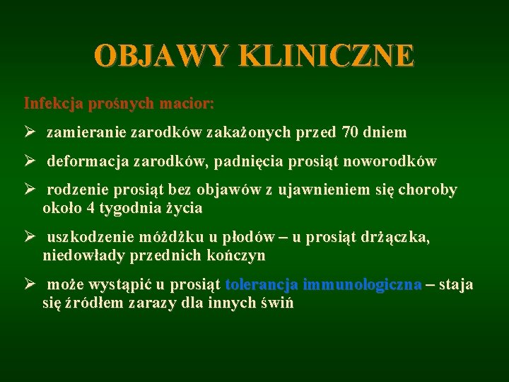 OBJAWY KLINICZNE Infekcja prośnych macior: Ø zamieranie zarodków zakażonych przed 70 dniem Ø deformacja