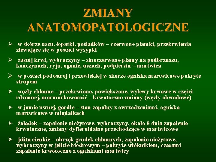 ZMIANY ANATOMOPATOLOGICZNE Ø w skórze uszu, łopatki, pośladków – czerwone plamki, przekrwienia zlewające się