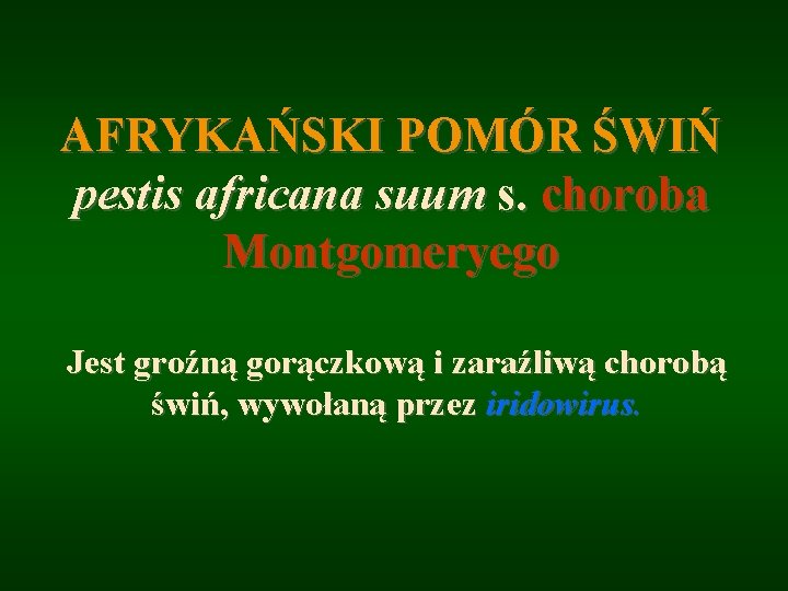 AFRYKAŃSKI POMÓR ŚWIŃ pestis africana suum s. choroba Montgomeryego Jest groźną gorączkową i zaraźliwą