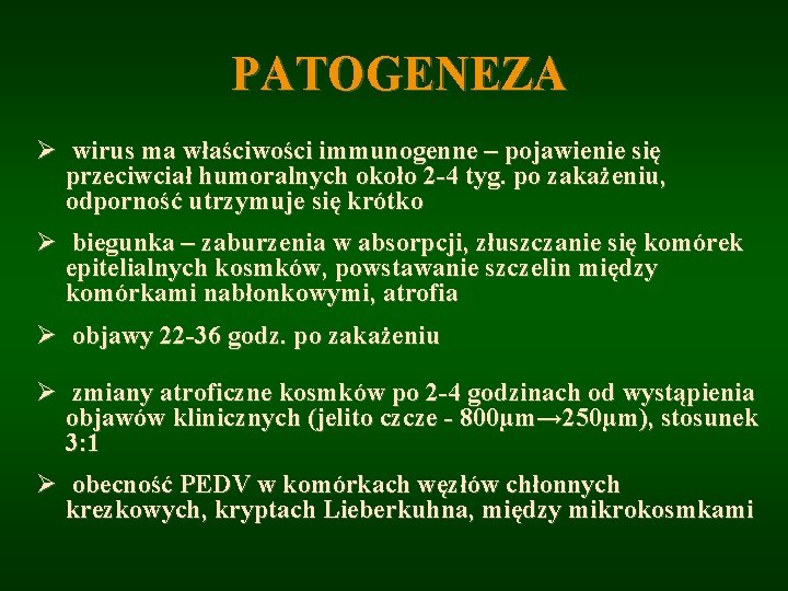 PATOGENEZA Ø wirus ma właściwości immunogenne – pojawienie się przeciwciał humoralnych około 2 -4