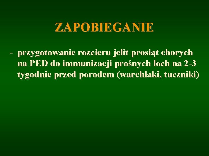 ZAPOBIEGANIE - przygotowanie rozcieru jelit prosiąt chorych na PED do immunizacji prośnych loch na