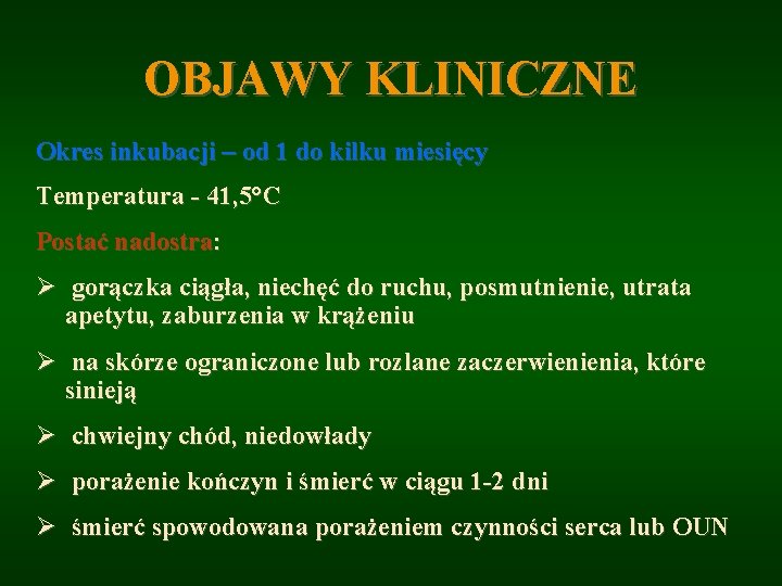 OBJAWY KLINICZNE Okres inkubacji – od 1 do kilku miesięcy Temperatura - 41, 5°C