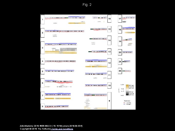 Fig. 2 EBio. Medicine 2019 4858 -69 DOI: (10. 1016/j. ebiom. 2019. 034) Copyright