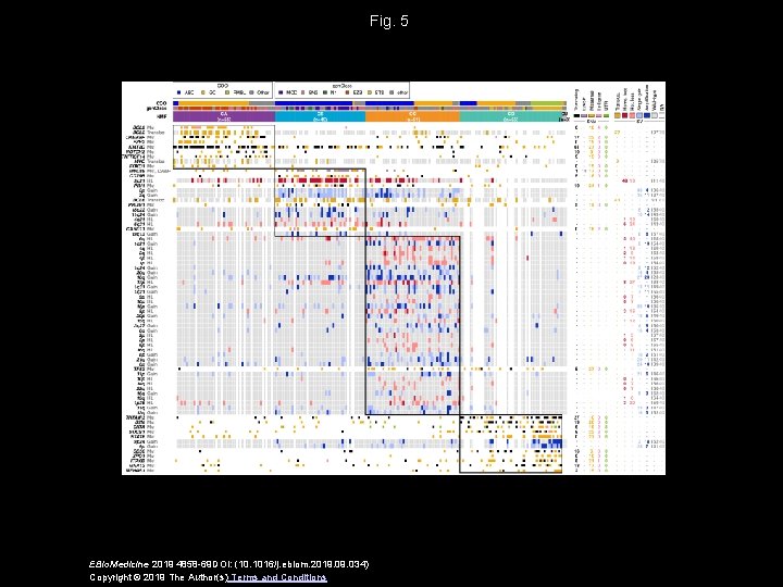 Fig. 5 EBio. Medicine 2019 4858 -69 DOI: (10. 1016/j. ebiom. 2019. 034) Copyright
