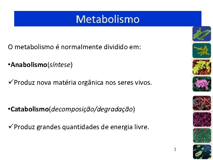 Metabolismo O metabolismo é normalmente dividido em: • Anabolismo(síntese) üProduz nova matéria orgânica nos