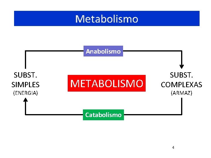 Metabolismo Anabolismo SUBST. SIMPLES (ENERGIA) METABOLISMO SUBST. COMPLEXAS (ARMAZ) Catabolismo 4 