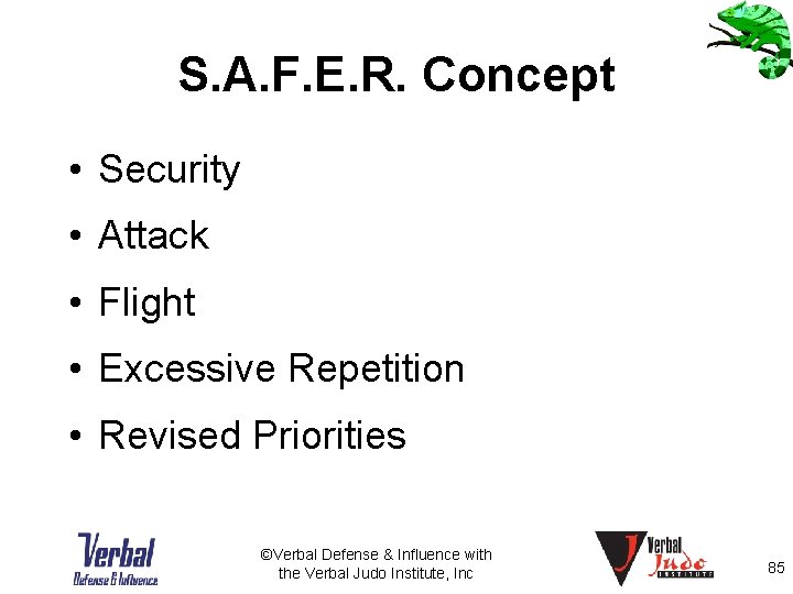 S. A. F. E. R. Concept • Security • Attack • Flight • Excessive