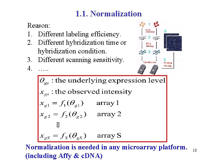 1. 1. Normalization Reason: 1. Different labeling efficiency. 2. Different hybridization time or hybridization