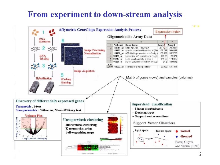 From experiment to down-stream analysis 2 