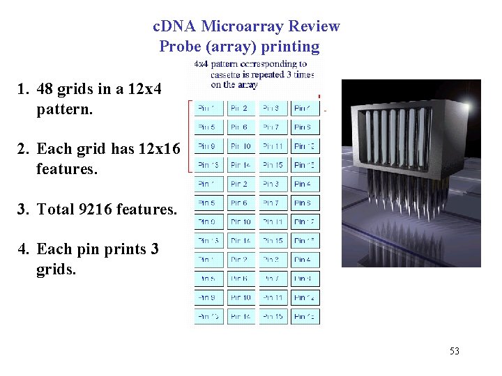 c. DNA Microarray Review Probe (array) printing 1. 48 grids in a 12 x