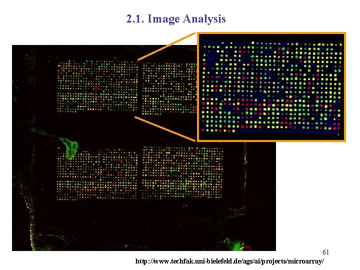 2. 1. Image Analysis 61 http: //www. techfak. uni-bielefeld. de/ags/ai/projects/microarray/ 