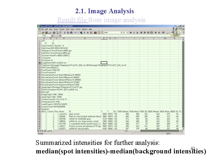 2. 1. Image Analysis Result file from image analysis Summarized intensities for further analysis: