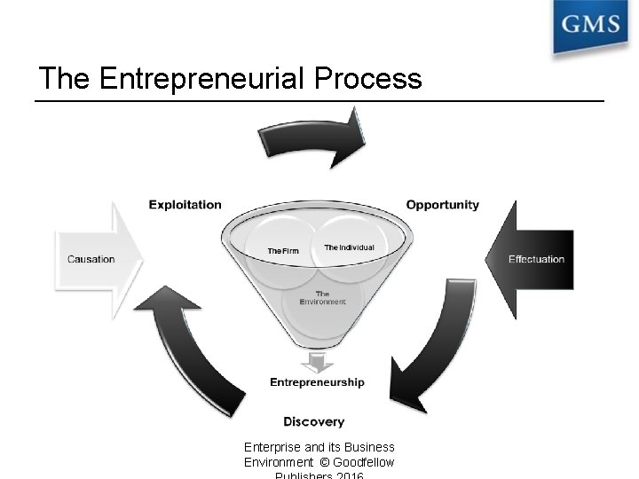 The Entrepreneurial Process Enterprise and its Business Environment © Goodfellow 