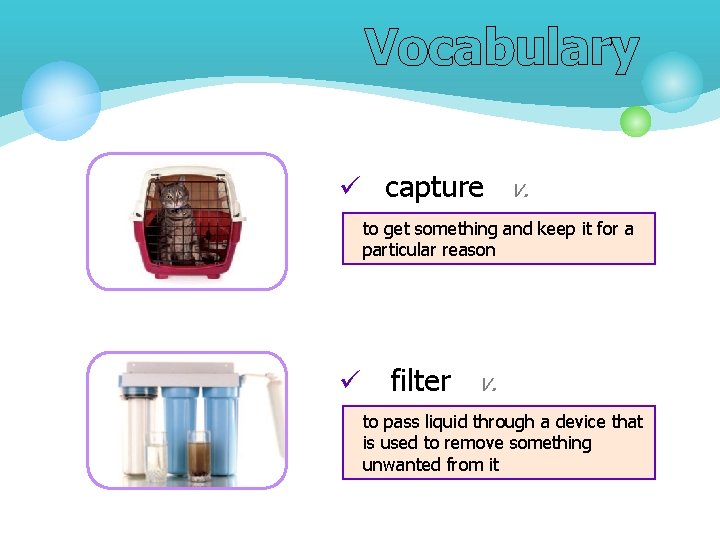 Vocabulary ü capture v. to get something and keep it for a particular reason