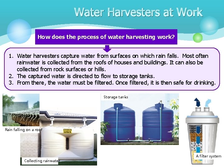 Water Harvesters at Work How does the process of water harvesting work? 1. Water