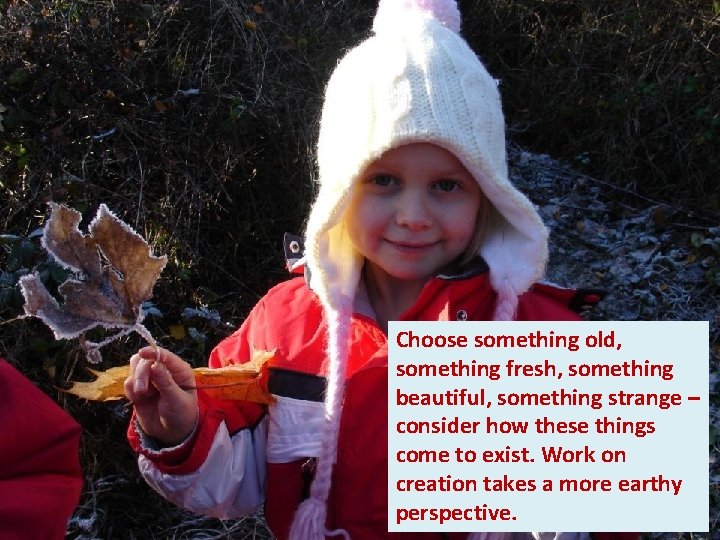Choose something old, something fresh, something beautiful, something strange – consider how these things