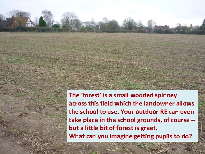 The ‘forest’ is a small wooded spinney across this field which the landowner allows